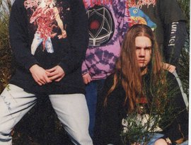 Avatar de brutal insanity