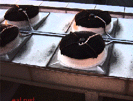 Avatar for Eat Rust