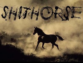 Shithorse 的头像