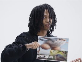 Avatar for prettifun