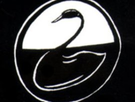 Avatar for Black Swan Network