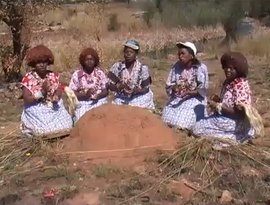 Avatar for Tiyiselani Vomaseve