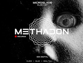 Avatar for Microslave