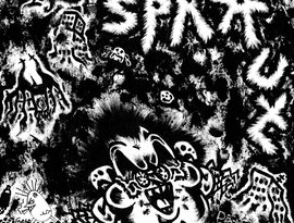SPRAUT 的头像