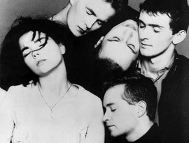 The Sugarcubes için avatar