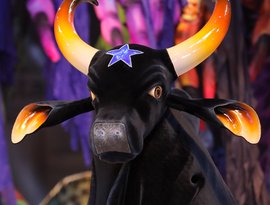 Avatar de Boi Bumbá Caprichoso