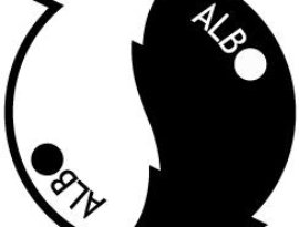 NIEUKubeu 的头像