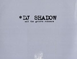 Avatar for DJ Shadow And The Groove Robbers