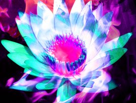 Avatar for Flame Flower