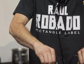 Avatar de Raul Robado