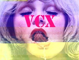 Vcx 的头像