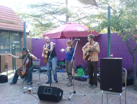 The Ellis Collective 的头像