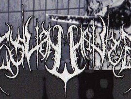 Awatar dla Desubhumanizer