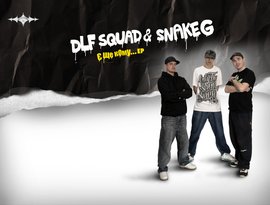 Avatar de DLF squad & Snake G