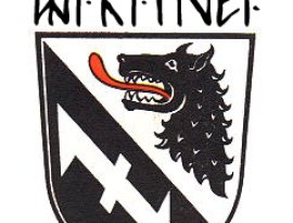 Wikinger 的头像