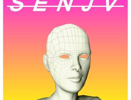 Avatar for s e n j v