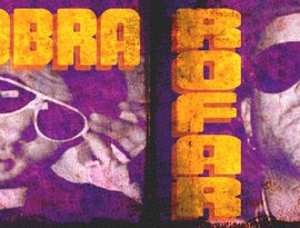 Аватар для Cobra & DJ Rofar