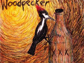 Woodpecker 的头像