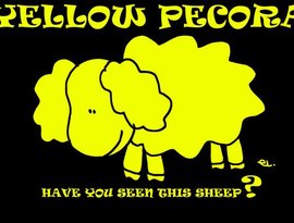 Avatar di Yellow Pecora