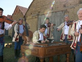 Avatar for Martin Hrbáč & Musica Folklorica