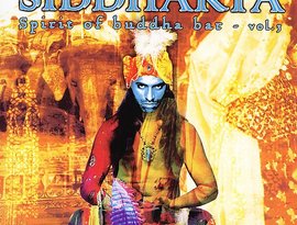 Avatar for Bahramji/Manesh DeMoor