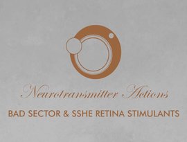Avatar för Bad Sector & Sshe Retina Stimulants