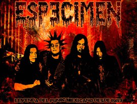 Avatar de Especimen