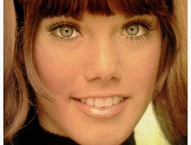 Barbi Benton 的头像