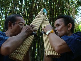 Lao Khaen Duo 的头像