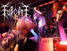 Furcate 的头像