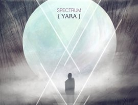 Y A R A 的头像