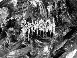 Gnasch 的头像