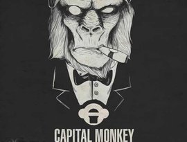 Avatar for Capital Monkey