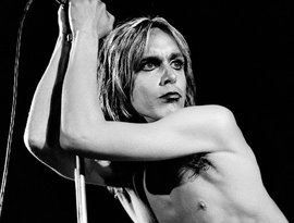Avatar de Iggy Pop