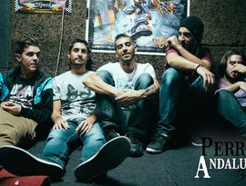 Avatar de Perro Andaluz Band