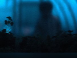 eenspire 的头像