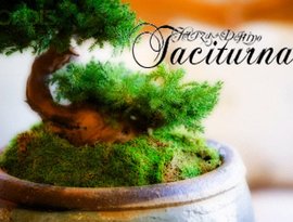 Taciturna 的头像