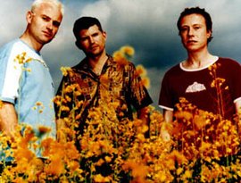 Red Snapper のアバター