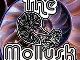 Avatar for The Mollusk