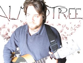 Avatar for Almond Tree