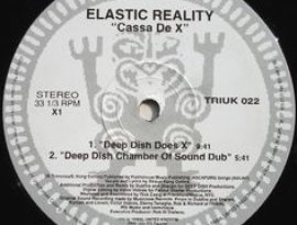 Avatar for Elastic Reality