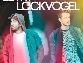 Avatar för Leyk & Lockvogel