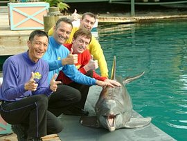 Avatar di The Wiggles