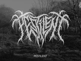 Avatar for Pestilent