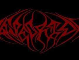 Desecrion 的头像