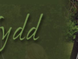 Avatar for Fflur Dafydd