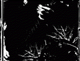 Avatar for Sombre Héritage
