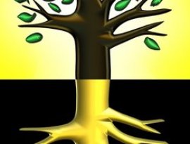 Avatar for Bnei Baruch