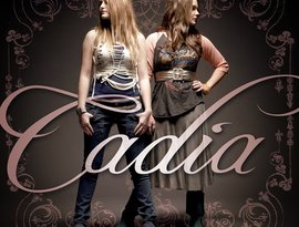 Cadia 的头像