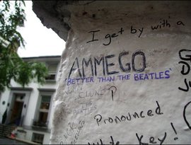 Ammego 的头像